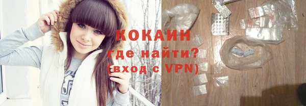 хмурый Алексин