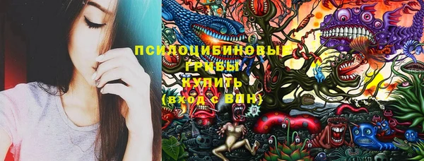 ПСИЛОЦИБИНОВЫЕ ГРИБЫ Алзамай