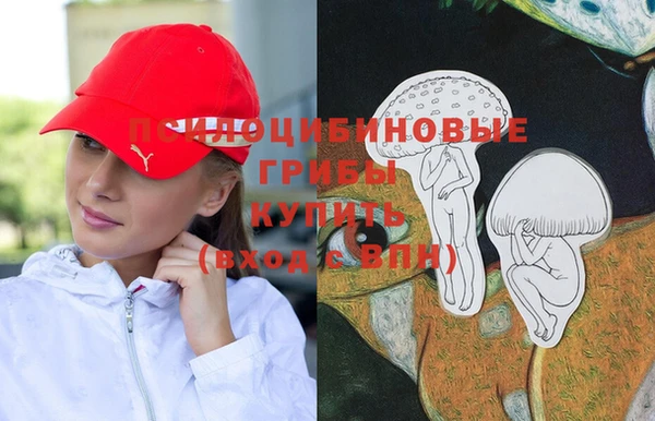 бутират Алексеевка