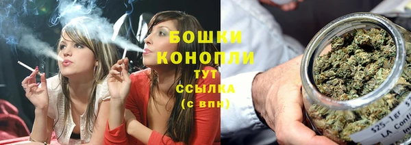 ПСИЛОЦИБИНОВЫЕ ГРИБЫ Алзамай