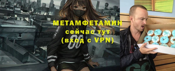 гидра Покачи