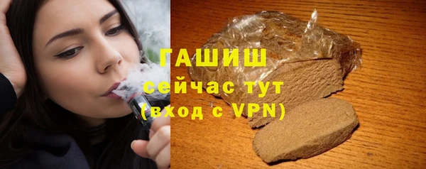 хмурый Алексин