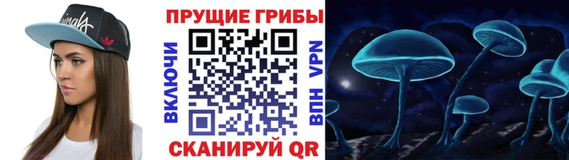 хочу наркоту  Светлоград  Псилоцибиновые грибы прущие грибы 